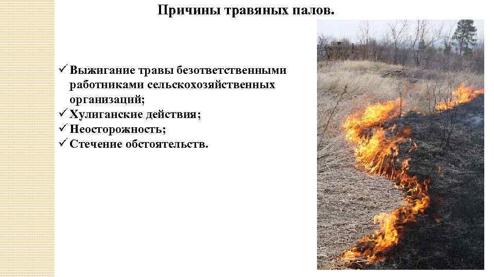 Причины травяных палов. ü Выжигание травы безответственными работниками сельскохозяйственных организаций; ü Хулиганские действия; ü