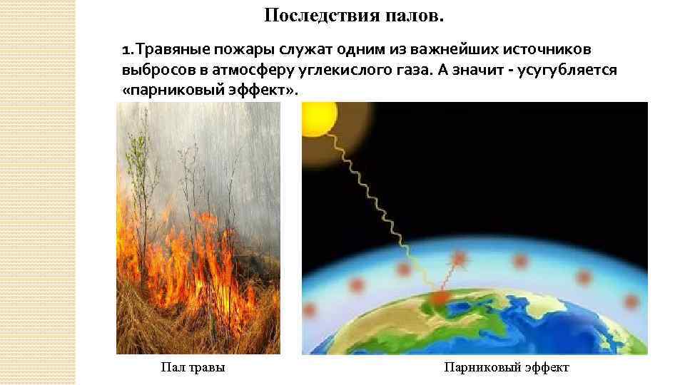 Последствия палов. 1. Травяные пожары служат одним из важнейших источников выбросов в атмосферу углекислого