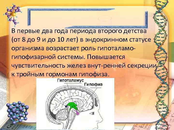 В первые два года периода второго детства (от 8 до 9 и до 10