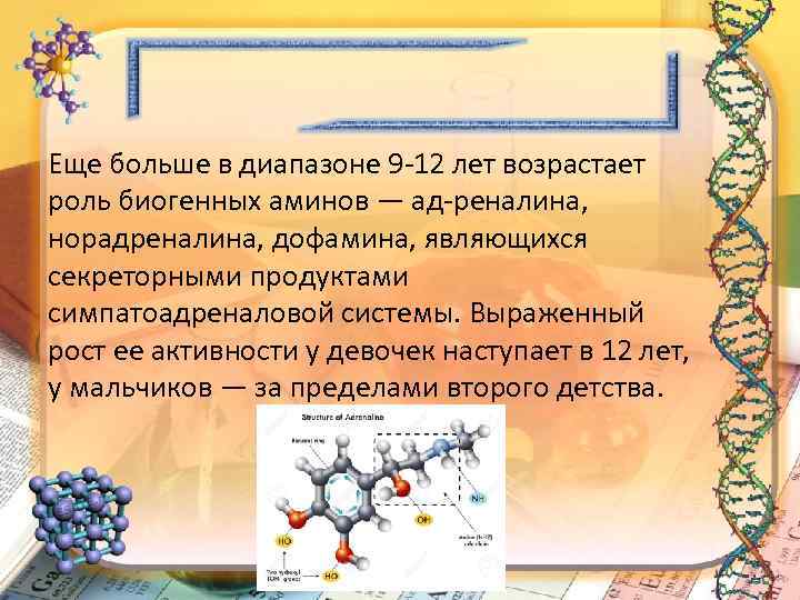 Еще больше в диапазоне 9 12 лет возрастает роль биогенных аминов — ад реналина,