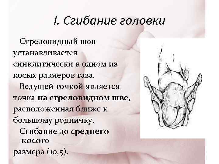 Ассистент род. Биомеханизм родов стреловидный шов. Стреловидный шов в косом размере. Стреловидный шов в правом косом размере.