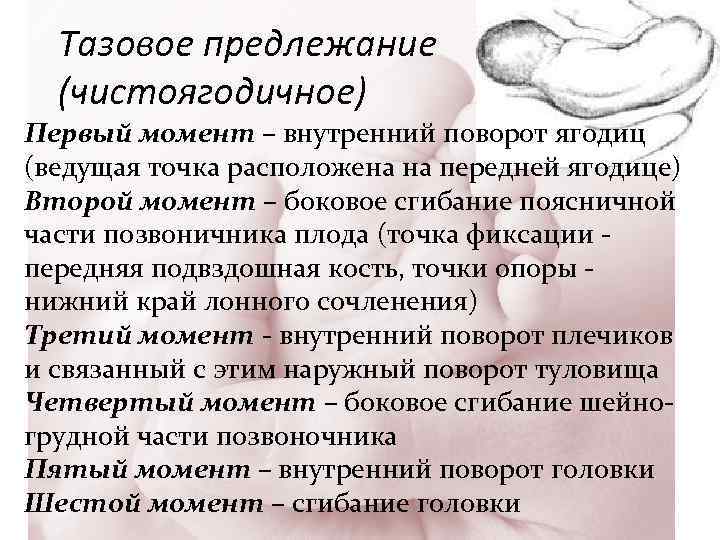 Тазовое предлежание (чистоягодичное) Первый момент – внутренний поворот ягодиц (ведущая точка расположена на передней