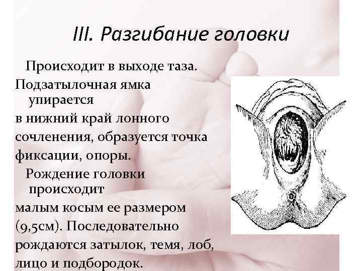 III. Разгибание головки Происходит в выходе таза. Подзатылочная ямка упирается в нижний край лонного