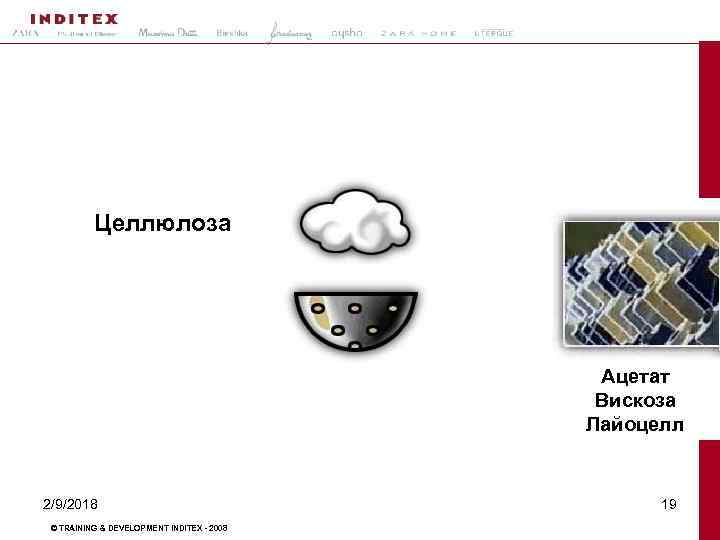 Целлюлоза Ацетат Вискоза Лайоцелл 2/9/2018 © TRAINING & DEVELOPMENT INDITEX - 2008 19 