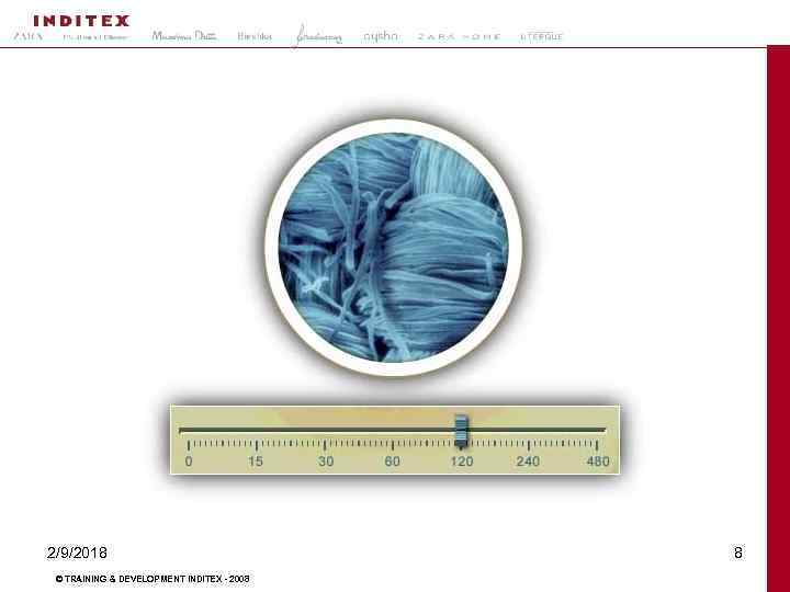 2/9/2018 © TRAINING & DEVELOPMENT INDITEX - 2008 8 