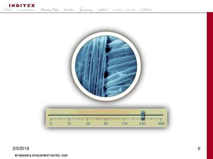 2/9/2018 © TRAINING & DEVELOPMENT INDITEX - 2008 9 