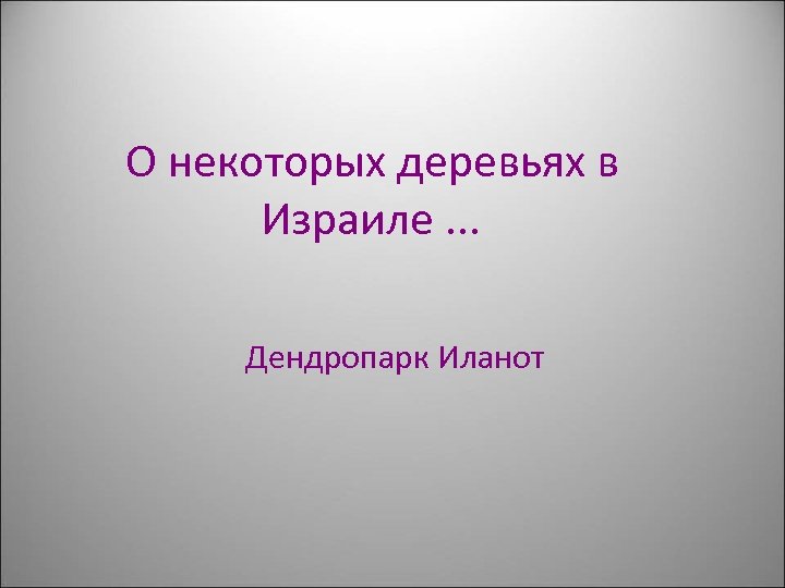 О некоторых деревьях в Израиле. . . Дендропарк Иланот 