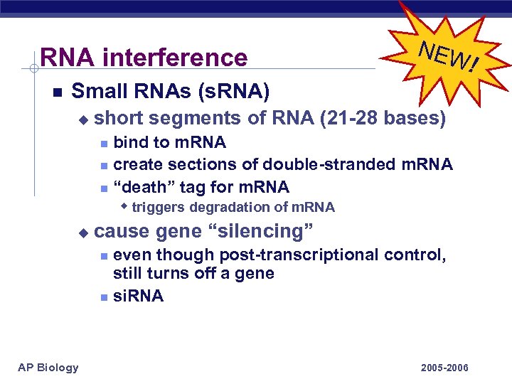 RNA interference NEW ! Small RNAs (s. RNA) u short segments of RNA (21