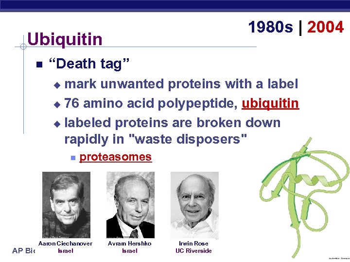 1980 s | 2004 Ubiquitin “Death tag” mark unwanted proteins with a label u