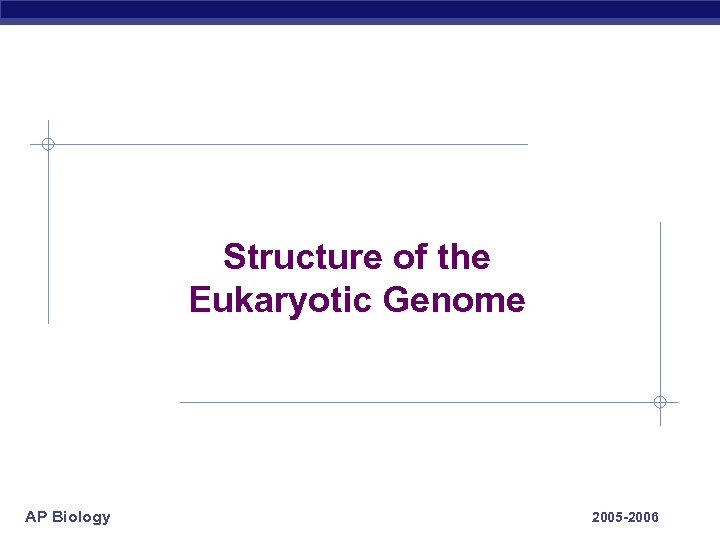 Structure of the Eukaryotic Genome AP Biology 2005 -2006 