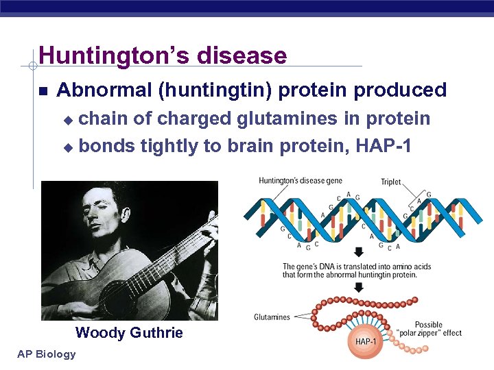 Huntington’s disease Abnormal (huntingtin) protein produced chain of charged glutamines in protein u bonds