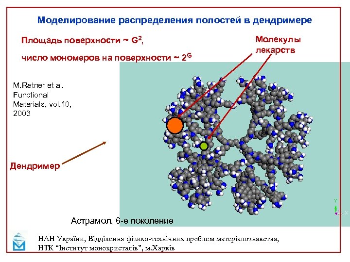 Моделирование распределения полостей в дендримере Площадь поверхности ~ G 2, число мономеров на поверхности