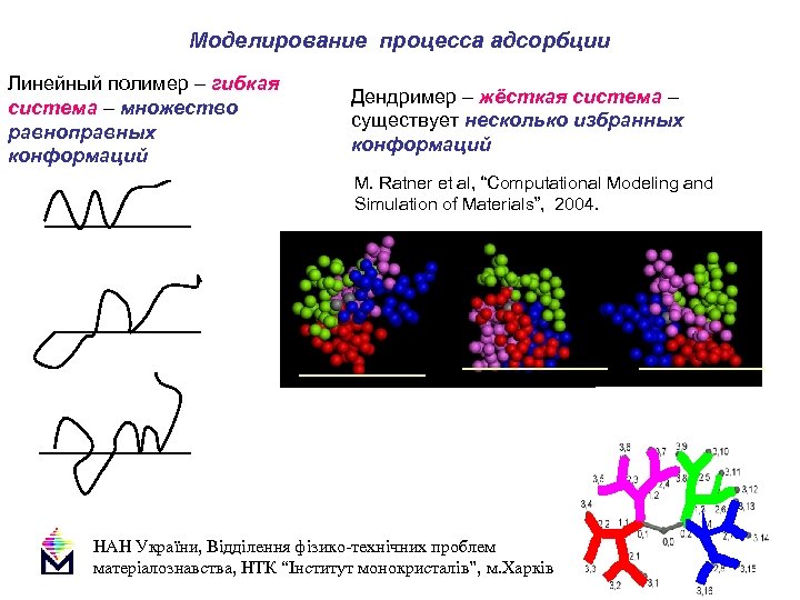 Моделирование процесса адсорбции Линейный полимер – гибкая система – множество равноправных конформаций Дендример –