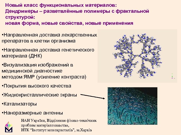 Новый класс функциональных материалов: Дендримеры – разветвлённые полимеры с фрактальной структурой: новая форма, новые
