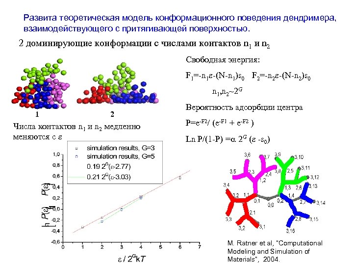 Развита теоретическая модель конформационного поведения дендримера, взаимодействующего с притягивающей поверхностью. 2 доминирующие конформации с