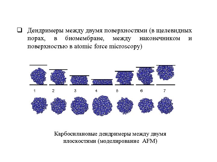q Дендримеры между двумя поверхностями (в щелевидных порах, в биомембране, между наконечником и поверхностью