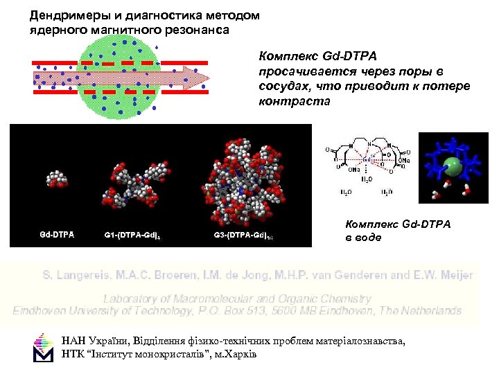 Дендримеры и диагностика методом ядерного магнитного резонанса Комплекс Gd-DTPA просачивается через поры в сосудах,