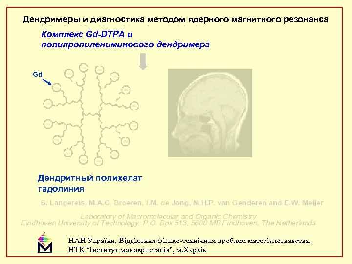 Дендримеры и диагностика методом ядерного магнитного резонанса Комплекс Gd-DTPA и полипропилениминового дендримера Gd Дендритный