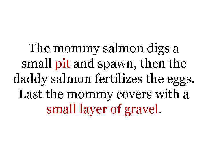 The mommy salmon digs a small pit and spawn, then the daddy salmon fertilizes