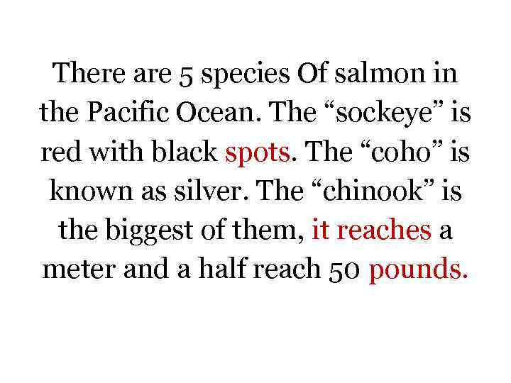 There are 5 species Of salmon in the Pacific Ocean. The “sockeye” is red