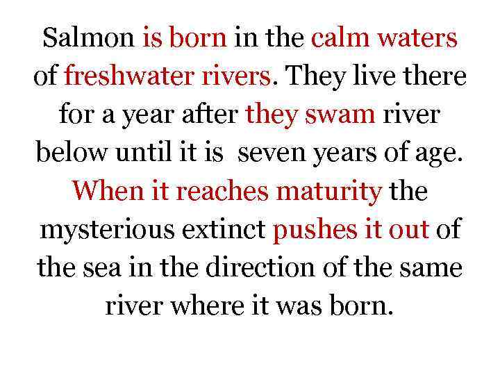 Salmon is born in the calm waters of freshwater rivers. They live there for