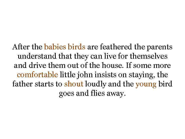 After the babies birds are feathered the parents understand that they can live for