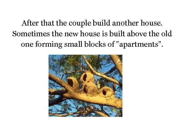 After that the couple build another house. Sometimes the new house is built above