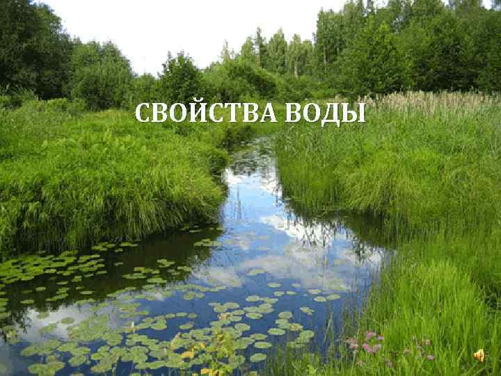 СВОЙСТВА ВОДЫ 