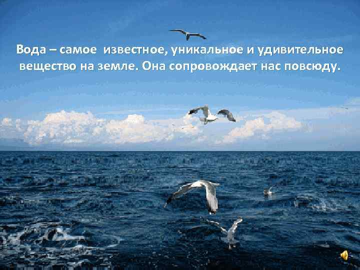 Вода – самое известное, уникальное и удивительное вещество на земле. Она сопровождает нас повсюду.