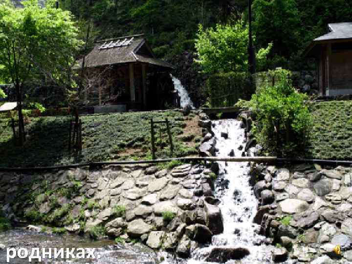 родниках. 