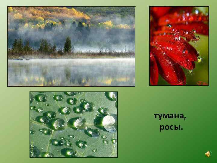 тумана, росы. 