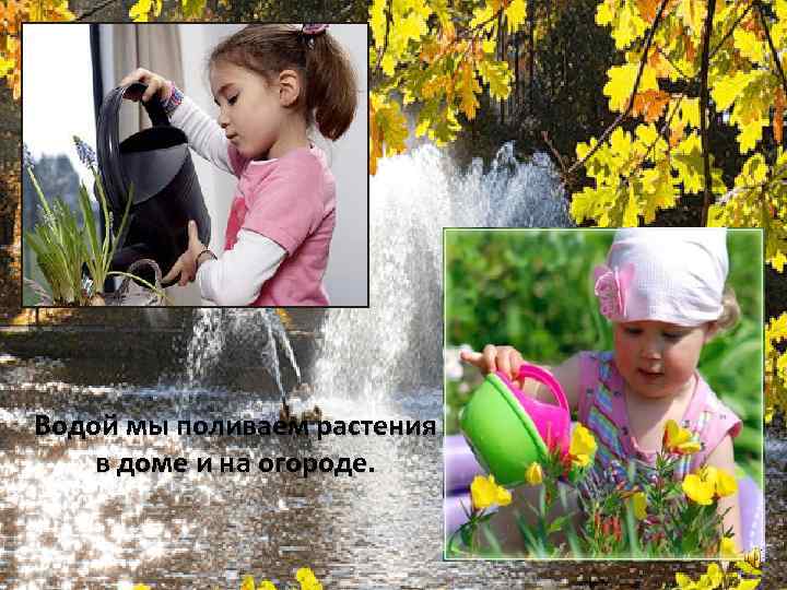 Водой мы поливаем растения в доме и на огороде. 