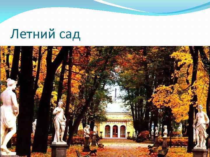 Летний сад 