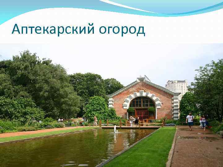 Аптекарский огород 