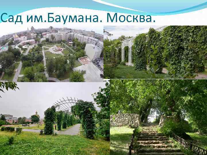 Сад им. Баумана. Москва. 
