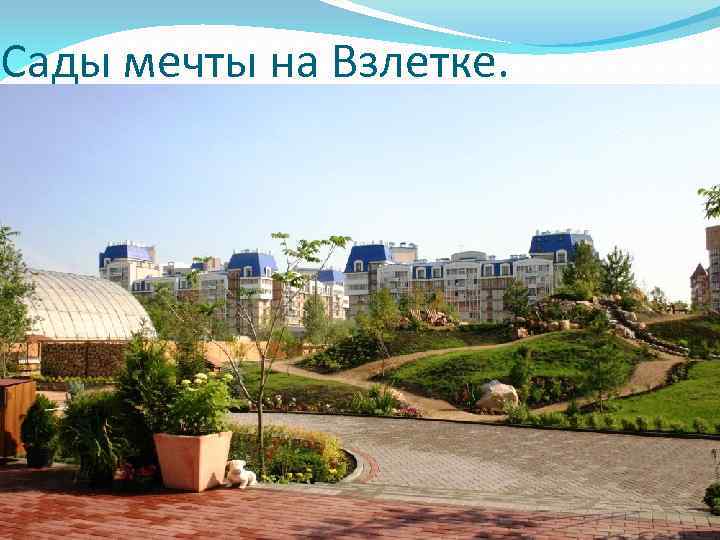 Сады мечты на Взлетке. 