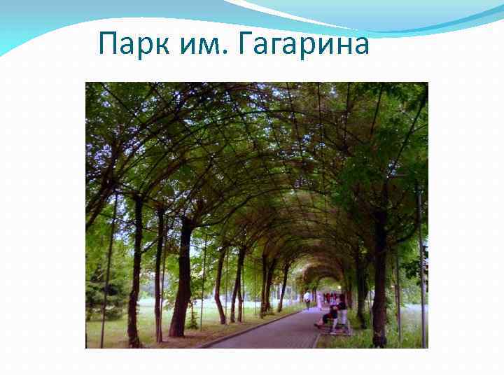 Парк им. Гагарина 
