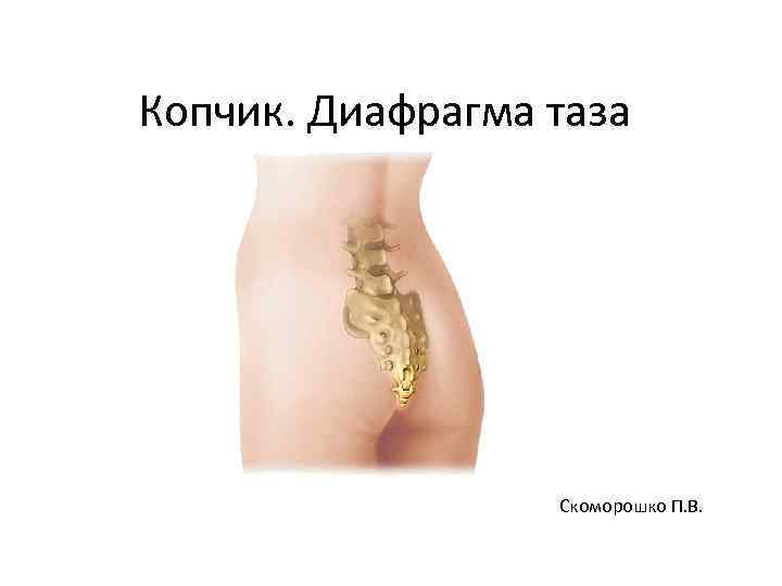 Копчик. Диафрагма таза Скоморошко П. В. 