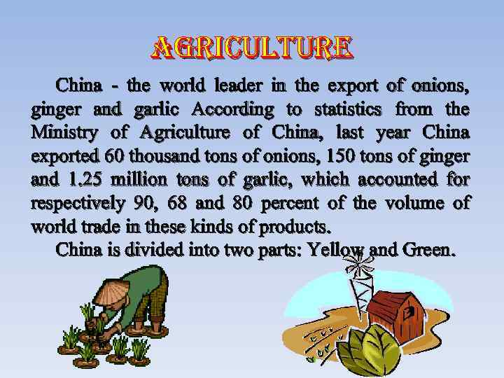 agriculture China - the world leader in the export of onions, ginger and garlic