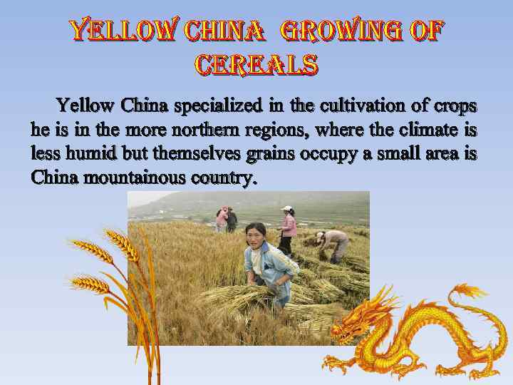 yellow china growing of cereals Yellow China specialized in the cultivation of crops he