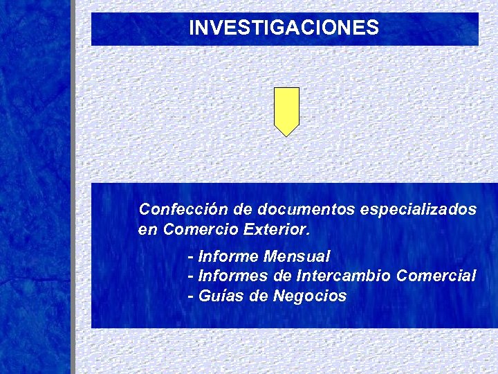 INVESTIGACIONES Confección de documentos especializados en Comercio Exterior. - Informe Mensual - Informes de