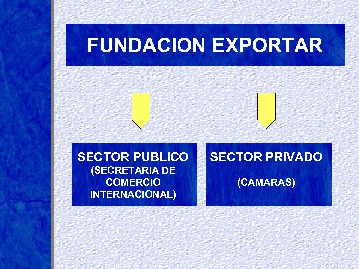 FUNDACION EXPORTAR SECTOR PUBLICO SECTOR PRIVADO (SECRETARIA DE COMERCIO INTERNACIONAL) (CAMARAS) 