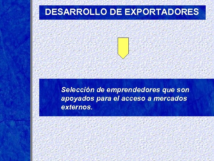 DESARROLLO DE EXPORTADORES Selección de emprendedores que son apoyados para el acceso a mercados
