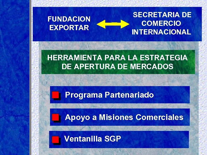 FUNDACION EXPORTAR SECRETARIA DE COMERCIO INTERNACIONAL HERRAMIENTA PARA LA ESTRATEGIA DE APERTURA DE MERCADOS