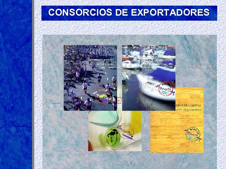 CONSORCIOS DE EXPORTADORES 