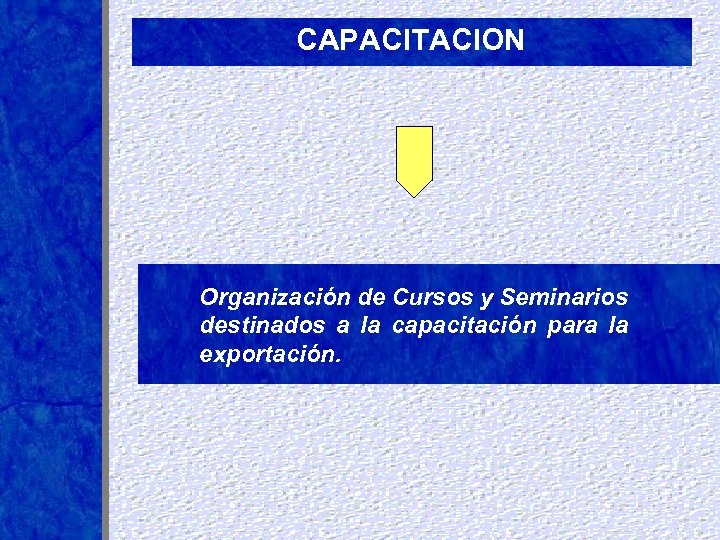 CAPACITACION Organización de Cursos y Seminarios destinados a la capacitación para la exportación. 