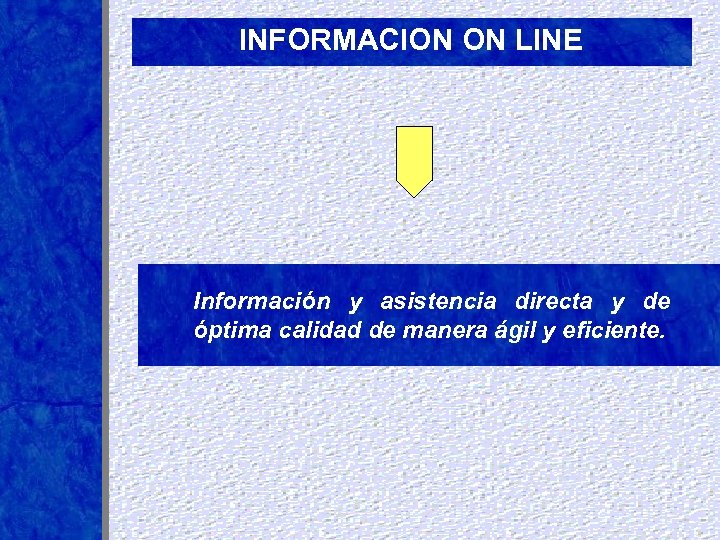 INFORMACION ON LINE Información y asistencia directa y de óptima calidad de manera ágil