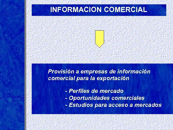INFORMACION COMERCIAL Provisión a empresas de información comercial para la exportación - Perfiles de
