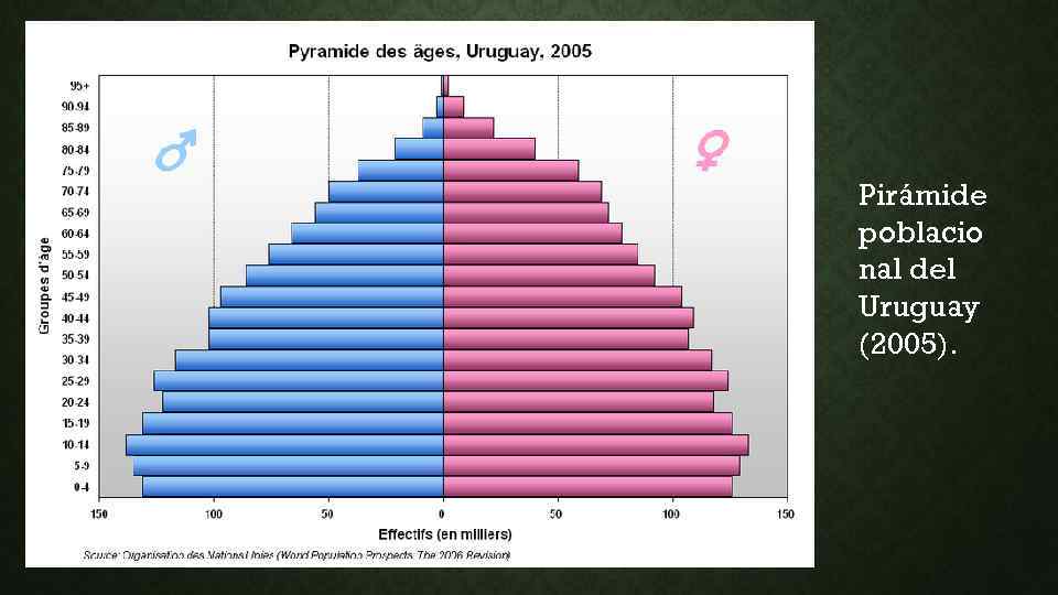 Pirámide poblacio nal del Uruguay (2005). 