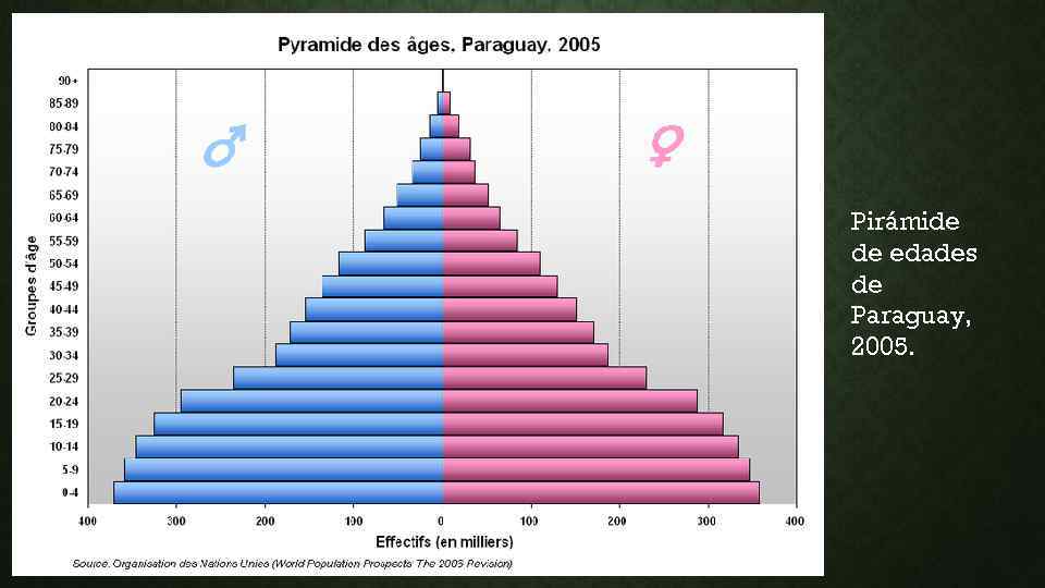 Pirámide de edades de Paraguay, 2005. 